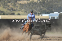 AdaminabyCampdraft2014_1035-1