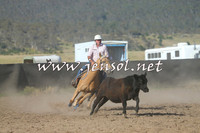 AdaminabyCampdraft2014_1007-1