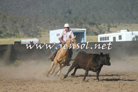 AdaminabyCampdraft2014_1004-1