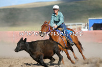 AdaminabyCampdraft2014_1033-1