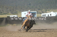 AdaminabyCampdraft2014_1005-1