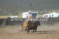 AdaminabyCampdraft2014_1006-1