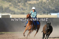AdaminabyCampdraft2014_1016-1