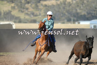 AdaminabyCampdraft2014_1026-1
