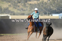 AdaminabyCampdraft2014_1018-1