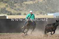 AdaminabyCampdraft2014_1003-1