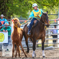 BOB2019Sunday_1889