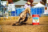 QueanbeyanRodeo2017_0102