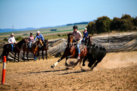 GoulburnCampdraft2017_4129