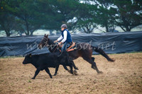 GoulburnCampdraft2017_0086