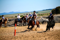GoulburnCampdraft2017_4132
