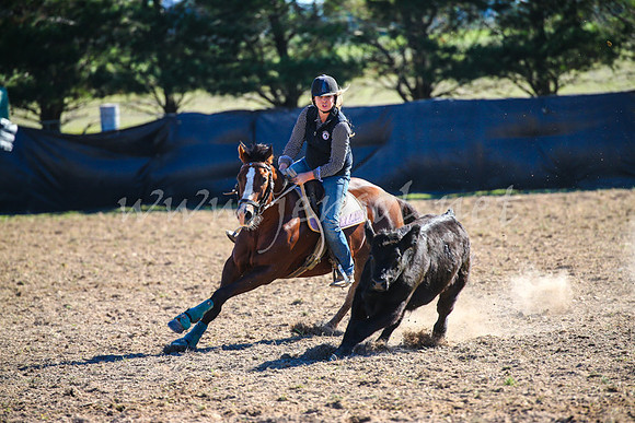 GoulburnCampdraft2017_4188
