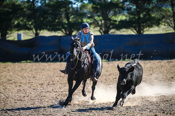 GoulburnCampdraft2017_4159