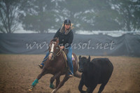 GoulburnCampdraft2017_0013