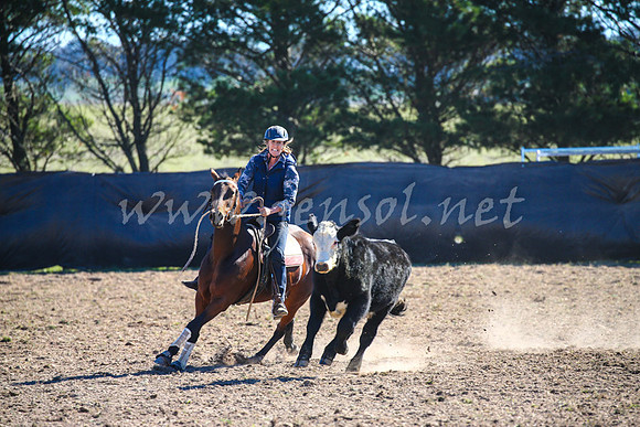 GoulburnCampdraft2017_4121
