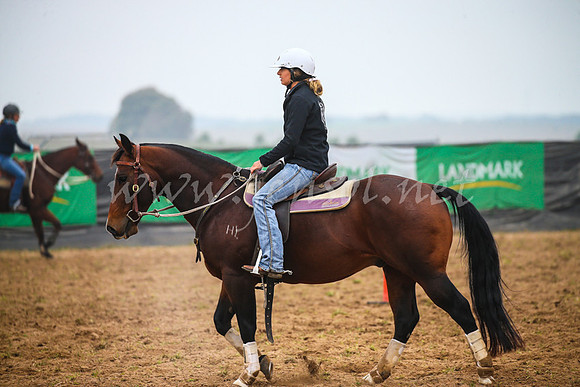 GoulburnCampdraft2017_0050