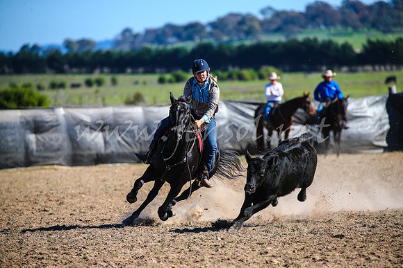 GoulburnCampdraft2017_4168
