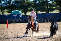 GoulburnCampdraft2017_4124