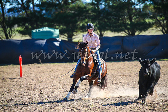 GoulburnCampdraft2017_4124