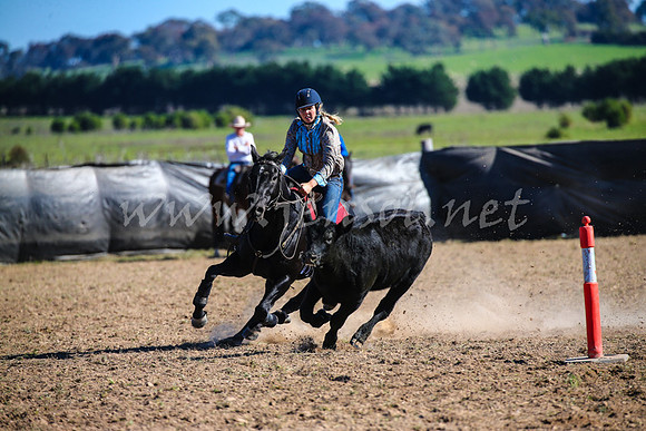 GoulburnCampdraft2017_4173