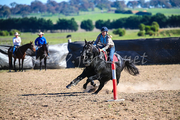 GoulburnCampdraft2017_4171