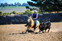 GoulburnCampdraft2017_4116