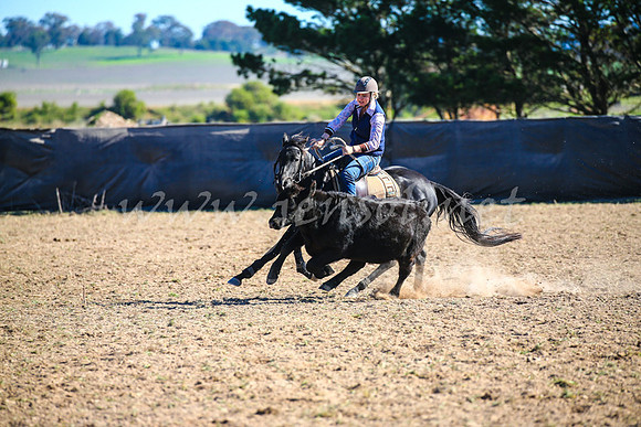 GoulburnCampdraft2017_4146