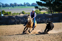 GoulburnCampdraft2017_4111