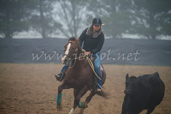 GoulburnCampdraft2017_0009