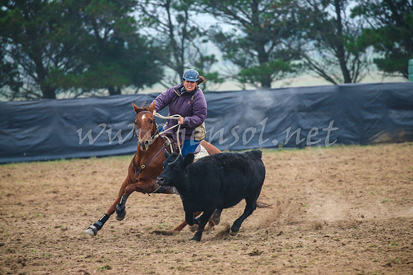 GoulburnCampdraft2017_0055