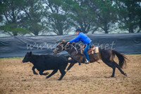 GoulburnCampdraft2017_0034