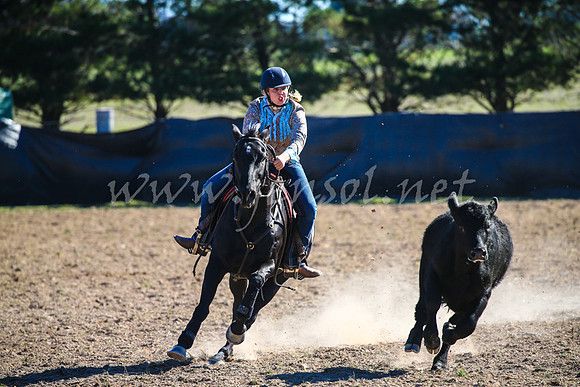 GoulburnCampdraft2017_4158