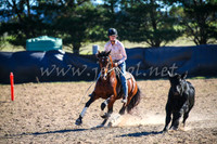 GoulburnCampdraft2017_4126