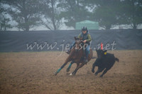 GoulburnCampdraft2017_0023