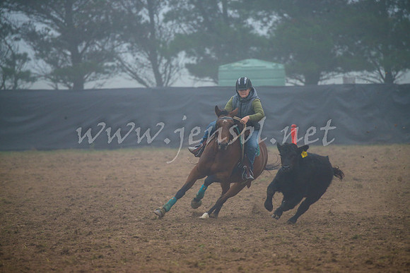 GoulburnCampdraft2017_0023