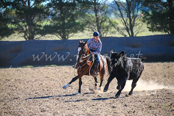 GoulburnCampdraft2017_4225