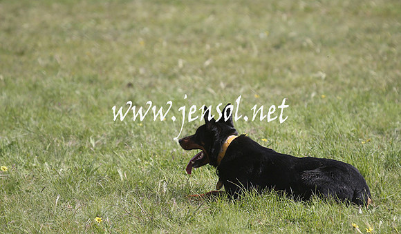 IllaboSat_0625