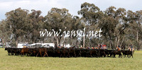 IllaboSun_0086