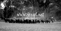 IllaboSat_0917