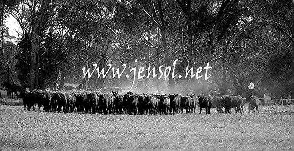 IllaboSat_0917