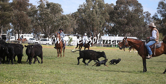 IllaboSun_0688