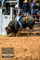 TaralgaRodeo2018_3865