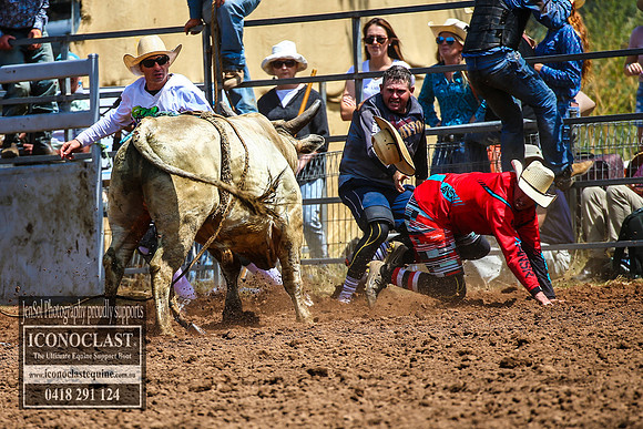 TaralgaRodeo2018_4996