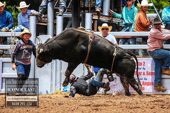 TaralgaRodeo2018_4240