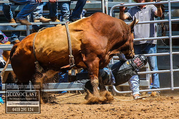 TaralgaRodeo2018_5048
