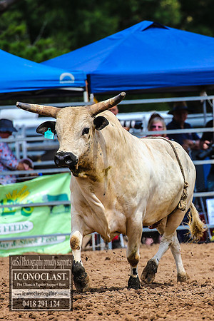 TaralgaRodeo2018_5261