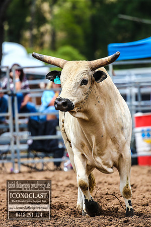 TaralgaRodeo2018_4134