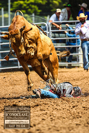 TaralgaRodeo2018_4955
