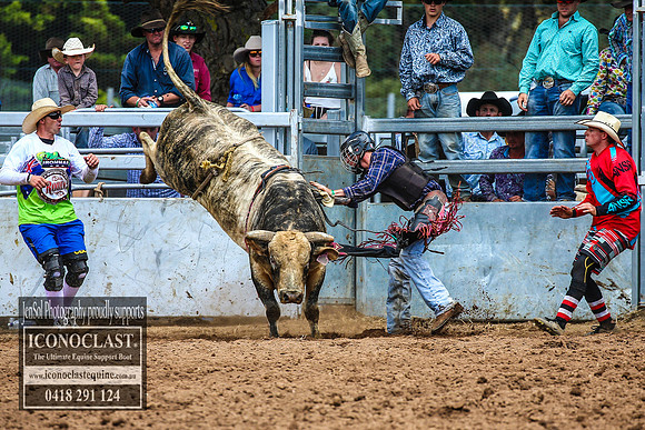 TaralgaRodeo2018_5284