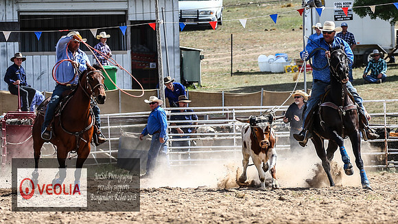 BungendoreRodeo2018-2027